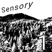 Sensory